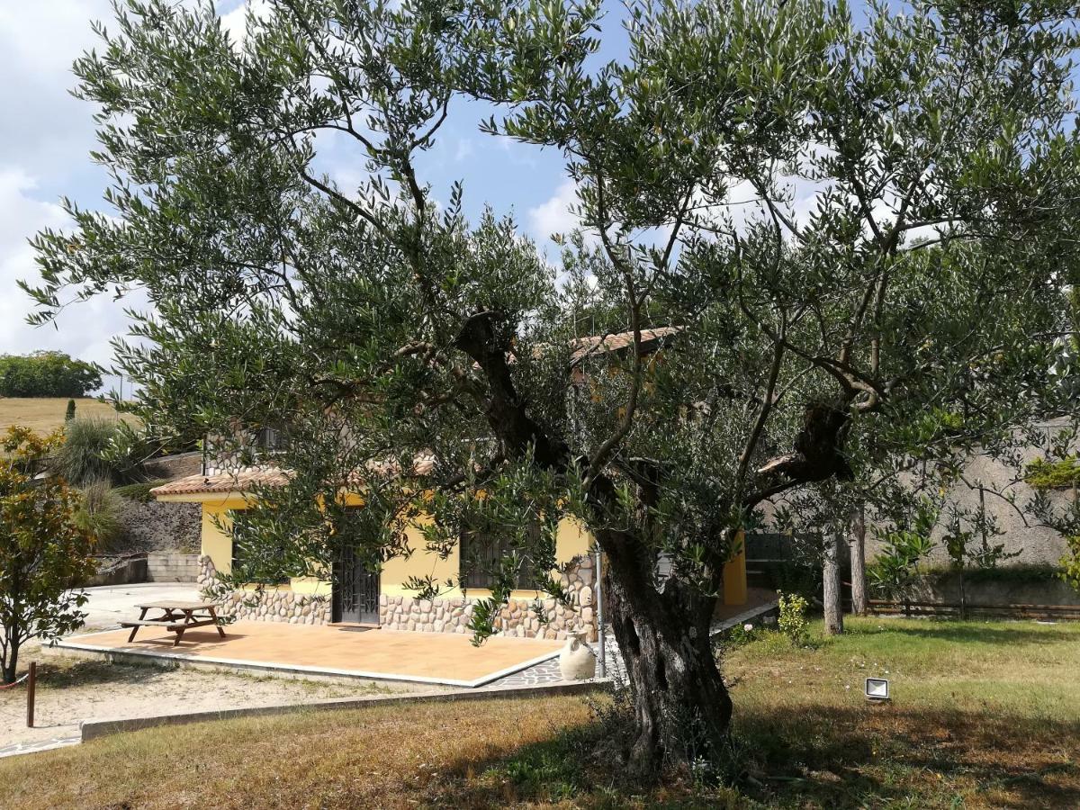 Agriturismo I Tre Ulivi Villa Paternopoli Екстериор снимка